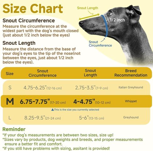 Mayerzon Greyhound Dog كمامة، كمامة شبكية ناعمة للكلاب طويلة الأنف لمنع الإفراط في العض والمضغ، مناسبة لزيارات الطبيب البيطري أثناء المشي، مما يسمح بتنفس الشرب (أسود، M) in Kuwait