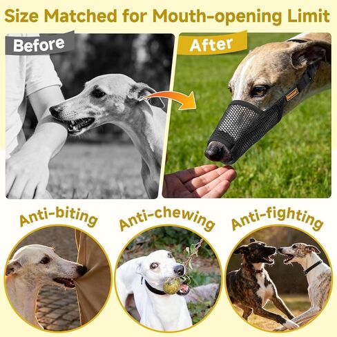 Mayerzon Greyhound Dog كمامة، كمامة شبكية ناعمة للكلاب طويلة الأنف لمنع الإفراط في العض والمضغ، مناسبة لزيارات الطبيب البيطري أثناء المشي، مما يسمح بتنفس الشرب (أسود، M) in Kuwait