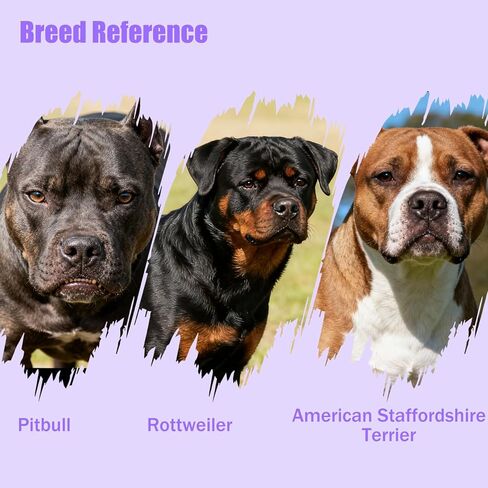PVC Woven Basket Dog Muzzle for Medium & Large Sized Dogs - Pitbull, Amstaff & Rottweiler Breathable Adjustable Muzzle, Safe Anti-Chewing Biting Comfortable in Saudi Arabia