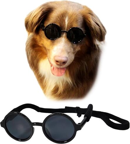 G001 متوسط ​​السلالات 20-40 رطل الكلب القط الحيوانات الأليفة زي الدعامة النظارات الشمسية المستديرة (أسود) in Kuwait