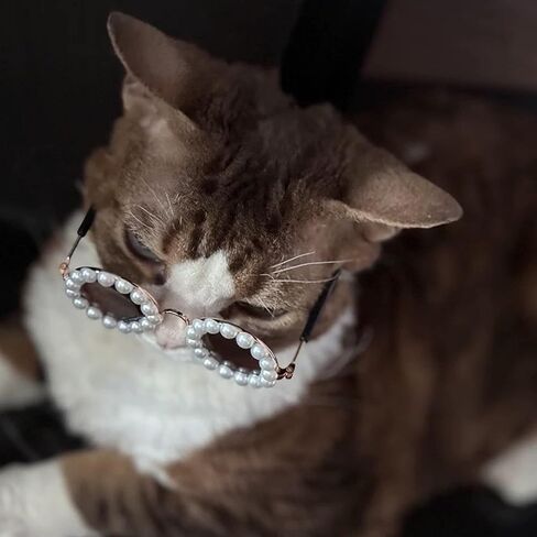 نظارات شمسية لطيفة على شكل قطة لؤلؤية، نظارات شمسية للحيوانات الأليفة للكلاب/القطط الصغيرة والمتوسطة، إكسسوارات أزياء الحيوانات الأليفة لحفلات الأعياد، أزياء نظارات الدمية للحيوانات الأليفة، نظارات للقطط، نظارات شمسية للكلاب للتصوير الفوتوغرافي في الحفلات in Kuwait