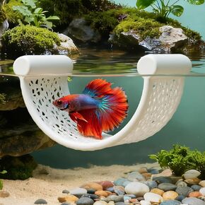 أرجوحة بيتا العائمة، أرجوحة سمكة بيتا، منصة راحة عائمة أو أحواض السمك الصغيرة، خزانات نانو، جمبري، كوريدوراس، ملحقات حوض أسماك بيتا، ديكور حوض الأسماك (أسود) in Kuwait