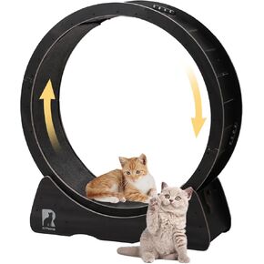 43 عجلة تمرين كبيرة للقطط للقطط الداخلية، عجلة جري هادئة للقطط مع قفل أمان، جهاز مشي بدون طرف للقطط التي يصل وزنها إلى 55 رطلاً in Kuwait