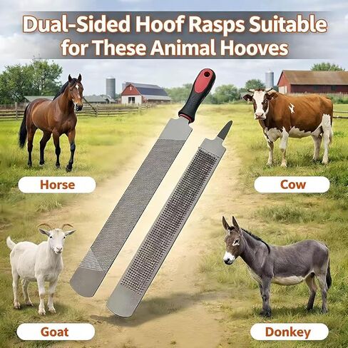 14Inch Double-Sided Farrier Rasp - Professional Hoof Rasp for Horses, Coarse & Fine Filing Surfaces, Hardened Steel with Ergonomic Non-Slip Handle for Hoof Trimming and Shoeing in Saudi Arabia