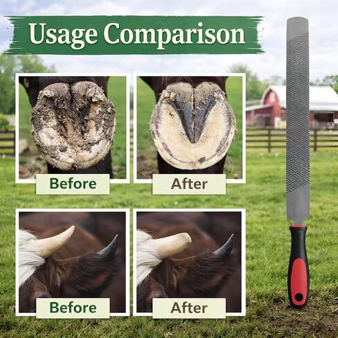 14Inch Double-Sided Farrier Rasp - Professional Hoof Rasp for Horses, Coarse & Fine Filing Surfaces, Hardened Steel with Ergonomic Non-Slip Handle for Hoof Trimming and Shoeing in Saudi Arabia
