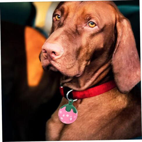 ibasenice 10Pcs Strawberry Shaped Pet Collar Bell Pendants Cute Bell Charms for Dogs Cats Accessories for Keys Bags Mobile Phones Gift Decoration in Saudi Arabia