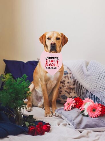 عيد الحب الكلب عصابات مضحكة، لطيف مثلث الحيوانات الأليفة وشاح الهدايا لمالكي محبي الكلاب، الأحمر الوردي القلب باندانا الملحقات للكلاب المتوسطة الكبيرة in Kuwait