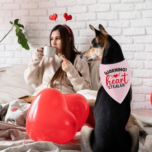 عيد الحب الكلب عصابات مضحكة، لطيف مثلث الحيوانات الأليفة وشاح الهدايا لمالكي محبي الكلاب، الأحمر الوردي القلب باندانا الملحقات للكلاب المتوسطة الكبيرة in Kuwait