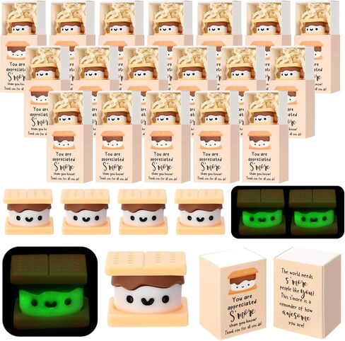 30 Sets Positive Appreciation Gifts Bulk for Office Employee Coworkers Emotional Support Luminous Resin Smore with Positive Gifts Box for Friends Volunteer Work Staff Teacher Desk Decor in Saudi Arabia