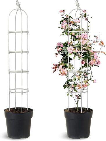 Anothera Garden Trellis لنباتات التسلق، أنبوب معدني مقاوم للصدأ بطول 6 أقدام مع طلاء بلاستيكي شديد التحمل، دعم للنباتات في الأماكن المغلقة في الهواء الطلق، تعريشة حديقة مسلة مستديرة لتسلق الكرمة (أسود) in Kuwait