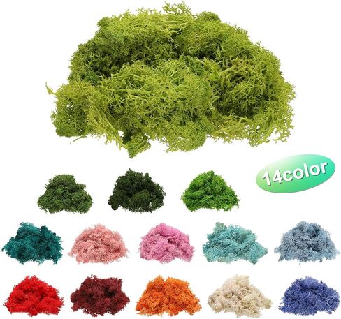 Preserved Reindeer Moss, 4 OZ Fake Moss for Crafts Artificial Dried Moss for Decoration, Craft, Terrariums, Potted Plants, Centerpieces Fairy Gardens (Chartreuse) in Saudi Arabia