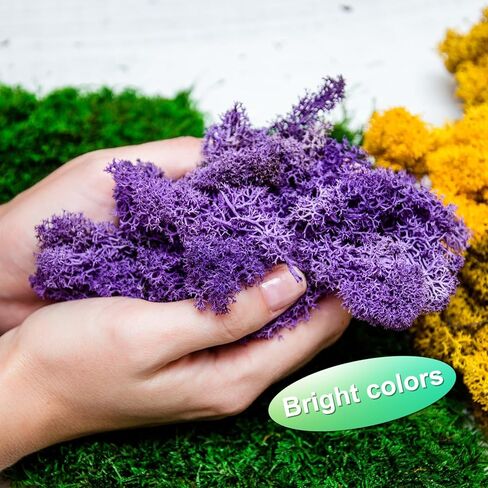 Preserved Reindeer Moss, 4 OZ Fake Moss for Crafts Artificial Dried Moss for Decoration, Craft, Terrariums, Potted Plants, Centerpieces Fairy Gardens (Chartreuse) in Saudi Arabia