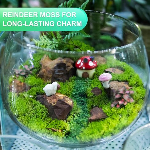 Preserved Reindeer Moss, 4 OZ Fake Moss for Crafts Artificial Dried Moss for Decoration, Craft, Terrariums, Potted Plants, Centerpieces Fairy Gardens (Chartreuse) in Saudi Arabia