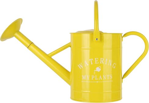 Garutom Galvanized Watering Can for Outdoor Plants, 1 Gallon Decorative Countryside Style Watering Can with Removable Spout, Perfect Metal Watering Can for Indoor Plants and Garden Flower in Saudi Arabia