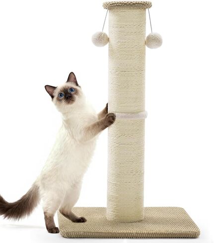 عمود خدش للقطط طويل القامة من Made4Pets، 23.6 بوصة خدش للقطط الحديثة مع كرات معلقة، عمود خدش للخدمة الشاقة وسميكة للقطط الداخلية للبالغين، عمود خدش للقطط بقاعدة قوية، بيج in Kuwait
