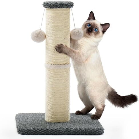 عمود خدش للقطط طويل القامة من Made4Pets، 23.6 بوصة خدش للقطط الحديثة مع كرات معلقة، عمود خدش للخدمة الشاقة وسميكة للقطط الداخلية للبالغين، عمود خدش للقطط بقاعدة قوية، بيج in Kuwait