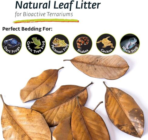 Galapagos (05150) Natural Magnolia Leaf Litter – Reptile Substrate for Bioactive Vivariums, Bearded Dragon, Gecko, and Snake Tank Accessories, 100% Natural Terrarium Décor, 4Qt in Kuwait