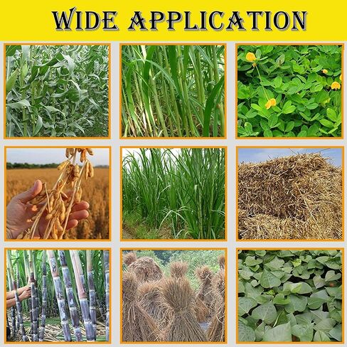6-Blade Hay Cutter and Kneading Machine Grass Silage Machine Dry-Wet Straw Cutting Machine Crop Cutters with Chain Plate Type Conveyor 220V 3KW in Saudi Arabia