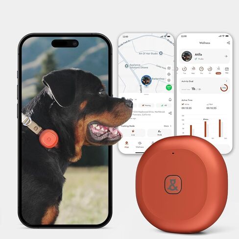 Molly&Cody GPS + Bluetooth Pet Tracker للقطط والكلاب - تتبع في الوقت الحقيقي، سياج افتراضي، IP67 مقاوم للماء، بطارية تصل إلى 60 يومًا، مراقبة الصحة، iOS/Android - الاشتراك مطلوب (ذهبي) in Kuwait