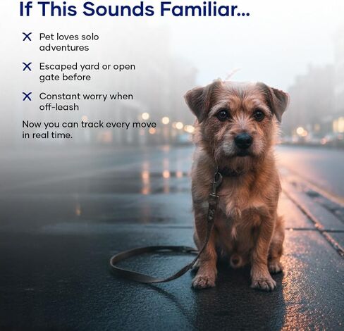 Smart Pet Locator – جهاز تعقب GPS للكلاب والقطط | تتبع في الوقت الحقيقي، مقاوم للماء وخفيف الوزن | عمر بطارية طويل والتحكم في التطبيقات in Kuwait