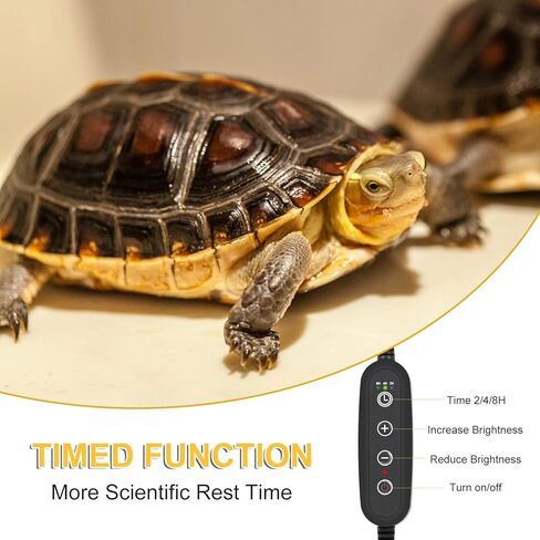 مصباح حراري للزواحف من Dallfoll، مصباح حراري لتوقيت الزواحف UVA UVB، مع دوار ومشبك قابل للدوران 360 درجة، مصباح تسخين للسلحفاة والسحلية والتنين الملتحي in Kuwait