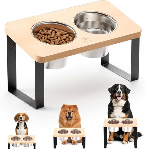 أوعية للكلاب مرتفعة بطول 4.7 سم - أوعية مريحة للكلاب من الفولاذ المقاوم للصدأ مع إمالة 10 درجات في حامل من خشب السنط للجراء والسلالات الصغيرة وقصيرة الأرجل in Kuwait