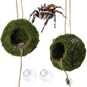 Big Jumping Spider Hide Kit, Jumping Spider Enclosures Habitat Accessories, Climbing Spiders Resting Hideout with Suction Cup Rope Bridge Leaf Ledge for Tarantula Small Insects in Kuwait