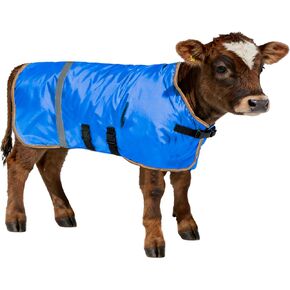 معطف شتوي للعجل مع بطانة من الصوف - بطانية مقاومة للماء للعجول والماعز والمهرات والحمير والألبكة والكلاب الكبيرة | 2-حزمة in Kuwait
