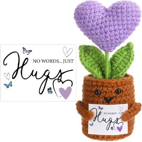 Capoda Valentines Crochet Gifts for Loss of Loved One Crochet Heart Plant with Comforting Card No Words Just Hugs Positive Support Gift for Kids Her Teen College Student Friend in Kuwait