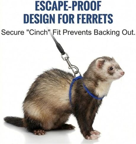 مجموعة حزام ومقود Ferret - تشتمل على سرجتين من الحبال قابلة للتعديل (ألوان عشوائية) ورصاص قابل للسحب بطول 10 أقدام - مجموعة أدوات مشي مقاومة للهروب للقوارض والأرانب وخنازير غينيا والشنشيلا والحيوانات الأليفة الصغيرة in Kuwait