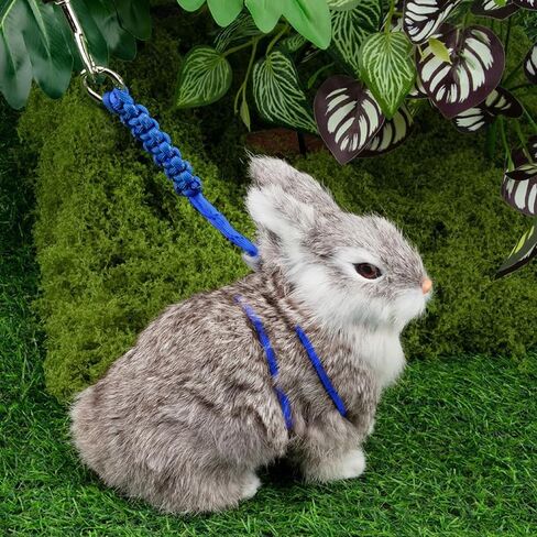 مجموعة حزام ومقود Ferret - تشتمل على سرجتين من الحبال قابلة للتعديل (ألوان عشوائية) ورصاص قابل للسحب بطول 10 أقدام - مجموعة أدوات مشي مقاومة للهروب للقوارض والأرانب وخنازير غينيا والشنشيلا والحيوانات الأليفة الصغيرة in Kuwait