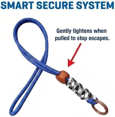 مجموعة حزام ومقود Ferret - تشتمل على سرجتين من الحبال قابلة للتعديل (ألوان عشوائية) ورصاص قابل للسحب بطول 10 أقدام - مجموعة أدوات مشي مقاومة للهروب للقوارض والأرانب وخنازير غينيا والشنشيلا والحيوانات الأليفة الصغيرة in Kuwait