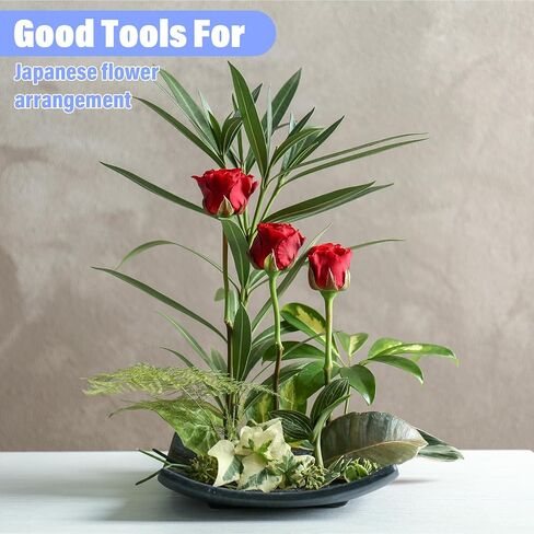 20 قطعة من دبابيس ترتيب الزهور البلاستيكية على شكل ضفدع - دبابيس زهور شفافة مع أكواب شفط لترتيبات المزهرية وديكورات الزفاف وعروض النباتات المنزلية والأنشطة الحرفية in Saudi Arabia