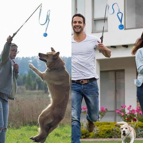 Flirt Pole for Dogs, Durable Dog Flirt Pole for Large Medium & Small Dogs, Interactive Dog Pole Toy with Rubber Ball for Outdoor/Indoor, Training, Chase, Tug of War (24 & 31 inch) in Saudi Arabia