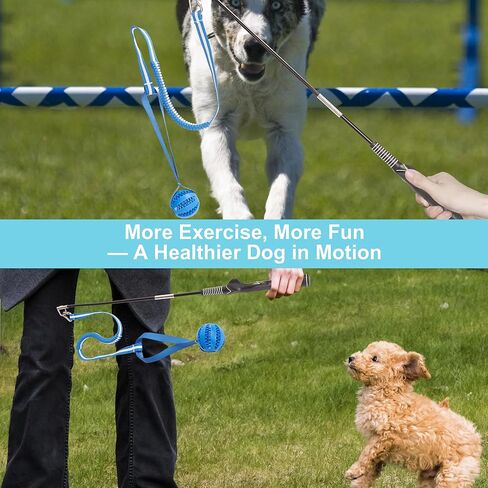 Flirt Pole for Dogs, Durable Dog Flirt Pole for Large Medium & Small Dogs, Interactive Dog Pole Toy with Rubber Ball for Outdoor/Indoor, Training, Chase, Tug of War (24 & 31 inch) in Saudi Arabia
