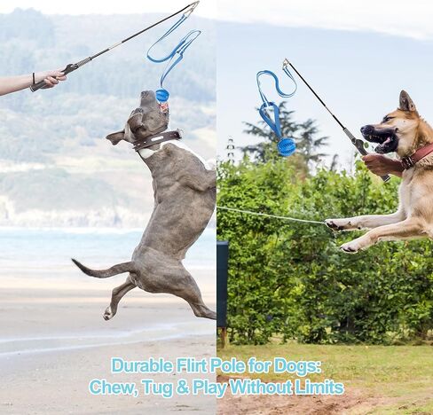 Flirt Pole for Dogs, Durable Dog Flirt Pole for Large Medium & Small Dogs, Interactive Dog Pole Toy with Rubber Ball for Outdoor/Indoor, Training, Chase, Tug of War (24 & 31 inch) in Saudi Arabia