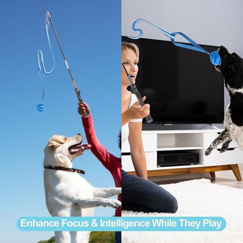 Flirt Pole for Dogs, Durable Dog Flirt Pole for Large Medium & Small Dogs, Interactive Dog Pole Toy with Rubber Ball for Outdoor/Indoor, Training, Chase, Tug of War (24 & 31 inch) in Saudi Arabia