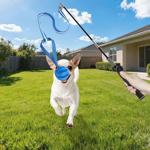 Flirt Pole for Dogs, Durable Dog Flirt Pole for Large Medium & Small Dogs, Interactive Dog Pole Toy with Rubber Ball for Outdoor/Indoor, Training, Chase, Tug of War (24 & 31 inch) in Saudi Arabia