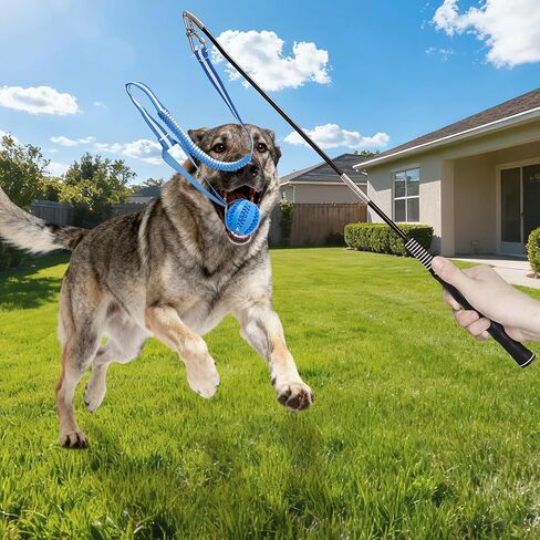 Flirt Pole for Dogs, Durable Dog Flirt Pole for Large Medium & Small Dogs, Interactive Dog Pole Toy with Rubber Ball for Outdoor/Indoor, Training, Chase, Tug of War (24 & 31 inch) in Saudi Arabia