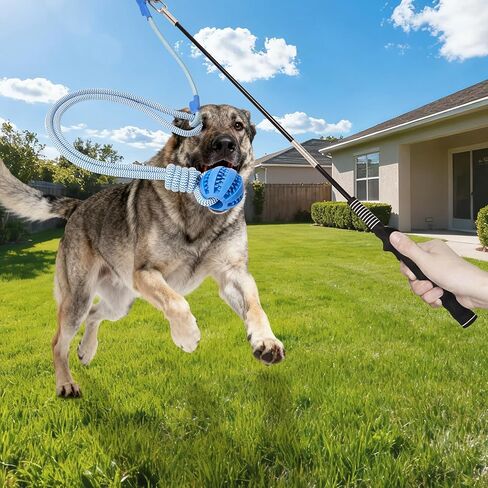 Flirt Pole for Dogs, Durable Dog Flirt Pole for Large Medium & Small Dogs, Interactive Dog Pole Toy with Rubber Ball for Outdoor/Indoor, Training, Chase, Tug of War (24 & 31 inch) in Saudi Arabia