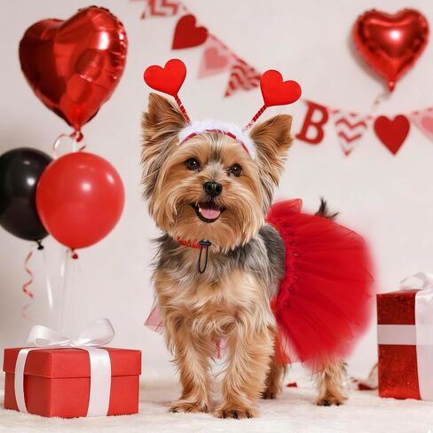 2Pcs Valentines Day Dog Costume Set Valentines Dog Tutu Dress with Red Heart Headband for Small Medium Pet Cat Dog for Valentine’s Day Holiday Party Outfit Accessories in Saudi Arabia