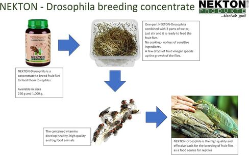 Nekton Drosophila Concentrate Breeding Fruit Flies 250G in Kuwait