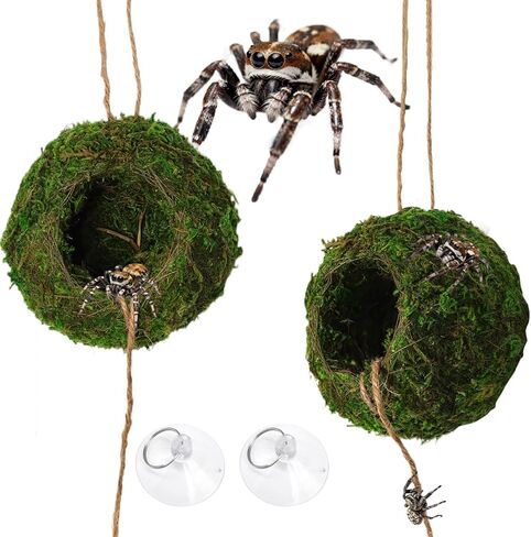 Big Jumping Spider Hide Kit, Jumping Spider Enclosures Habitat Accessories, Climbing Spiders Resting Hideout with Suction Cup Rope Bridge Leaf Ledge for Tarantula Small Insects in Kuwait