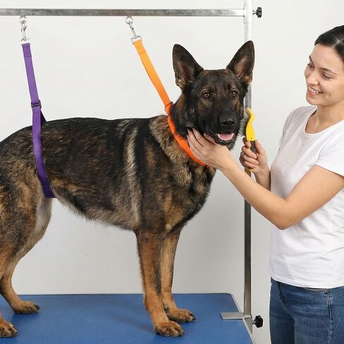 Grooming Loop 2 PCS Pet Dog Grooming Loops Adjustable Groomers Helper Nylon Restraint Noose Loop for Dog Grooming-Arm and Pet Grooming-Table in Saudi Arabia