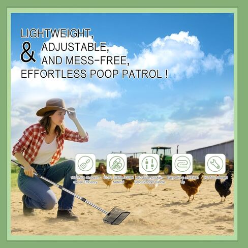 مغرفة فضلات الدجاج للرمل، عبوتان من مغرفة حظيرة الدجاج، ومشط، وأدوات التنظيف، مجرفة غربلة فضلات من الفولاذ المقاوم للصدأ لنفايات الحظيرة مع رؤوس قابلة للاستبدال مقاس 15 بوصة و10 بوصة in Kuwait