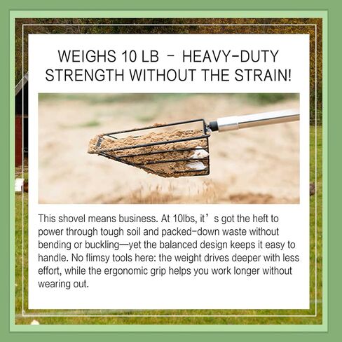 مغرفة فضلات الدجاج للرمل، عبوتان من مغرفة حظيرة الدجاج، ومشط، وأدوات التنظيف، مجرفة غربلة فضلات من الفولاذ المقاوم للصدأ لنفايات الحظيرة مع رؤوس قابلة للاستبدال مقاس 15 بوصة و10 بوصة in Kuwait