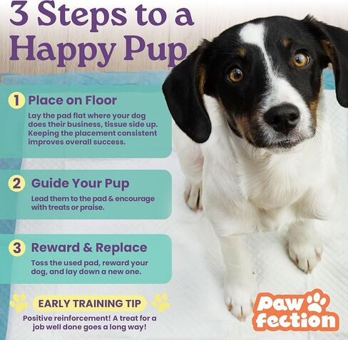 Pawfection 23.6" x 29.5" Puppy Pads – 6 Layers of Super Absorbent Protection – Holds up to 4 Cups of Liquid – Leak Proof & Tear Resistant for Indoor or Travel Crate Use – 30 Count Pee Pads for Dogs in Saudi Arabia