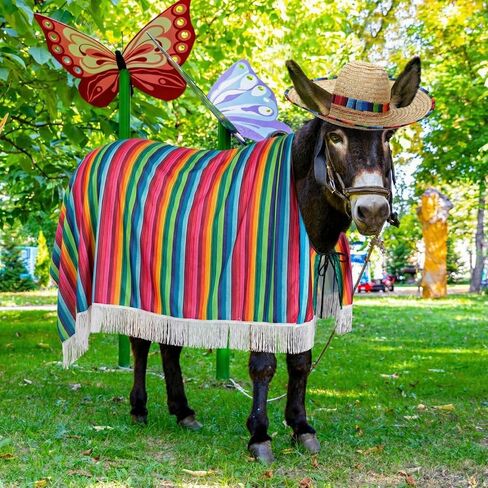 Lyrow 2 جهاز كمبيوتر شخصى المكسيكي زي حمار الملحقات Sombrero وبطانيات المعطف للحمير الحقيقية الزي موكب مضحك للحصان حيوان كبير Feria Del Burro Cinco De Mayo Fiesta Party Donkey Owner Gift in Saudi Arabia