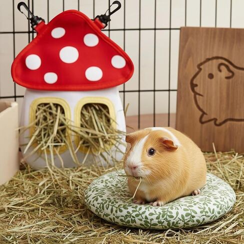 Bunny Hay Feeder Bag, Cute Mushroom Hanging Hay Holder, Durable Hay Dispenser with 600D Oxford Fabric for Guinea Pigs Chinchillas Hamster, Small Animal Cage Accessories in Saudi Arabia