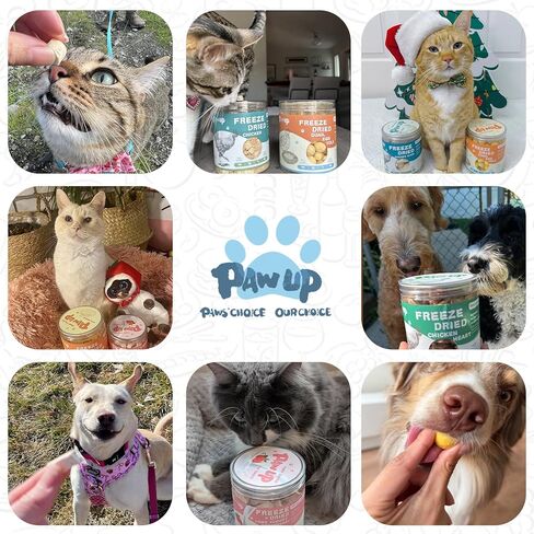 PAWUP Freeze Dried Dog Treats, Goat Milk Yogurt Flavor, Gentle Goat Milk Dog Snacks for Sensitive Stomachs Puppies, 2.8 oz in Saudi Arabia